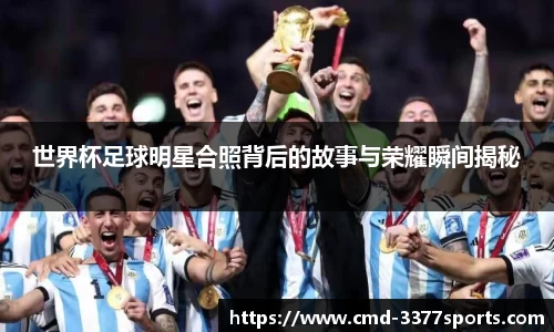 3377官网